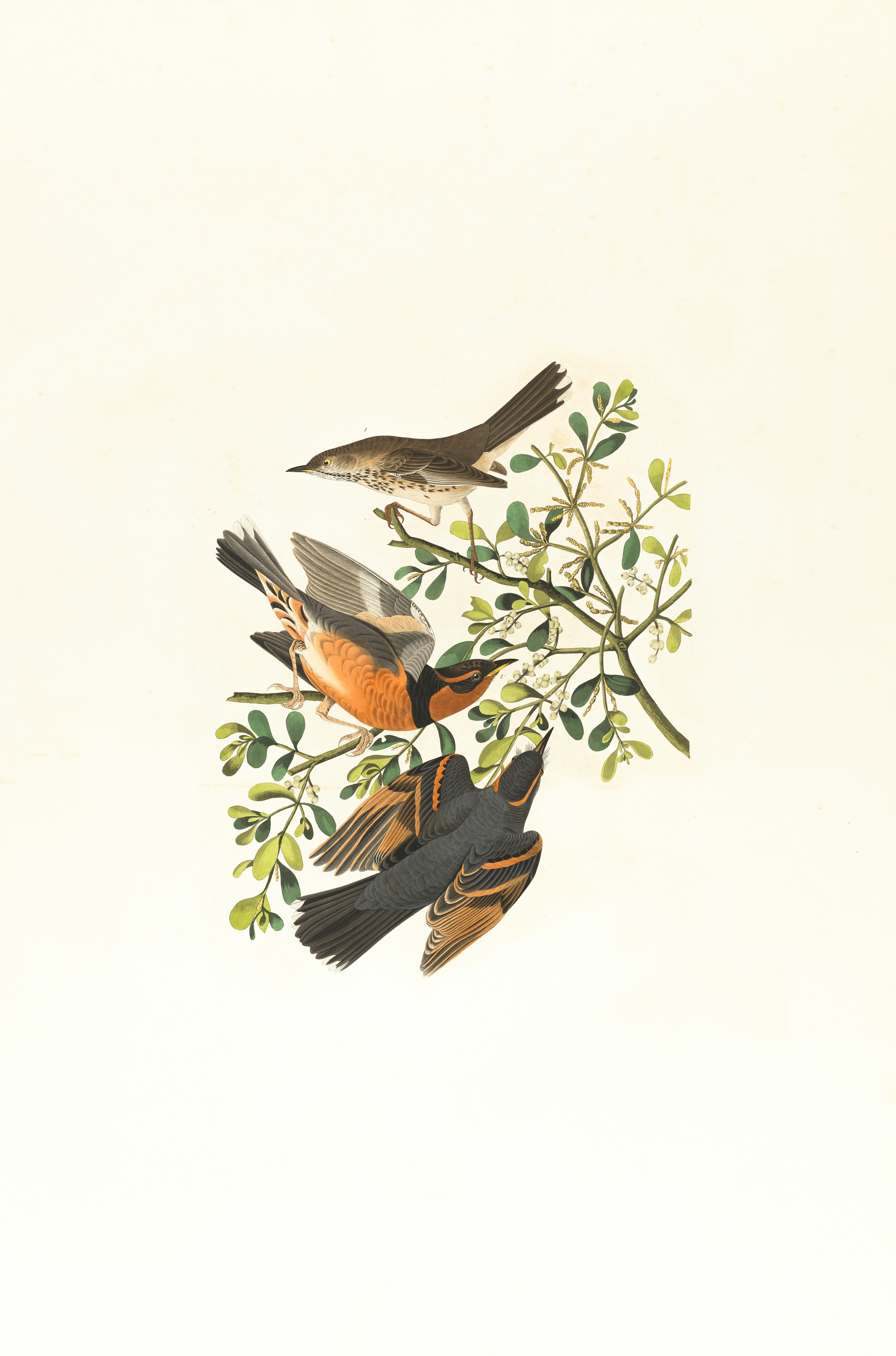 Artwork 1